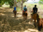 “Horseback Riding Sugar Mills Valley – Loma del Puerto – Sabanilla Restaurant” Tour