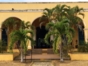 “Horseback Riding Sugar Mills Valley – Loma del Puerto – Sabanilla Restaurant” Tour