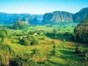 “Habana - Pinar del Río - Viñales” Tour