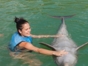 Dolphins at Cayo Guillermo dolphinarium