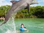 Dolphins at Cayo Guillermo dolphinarium
