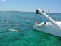 "Varadero from the sea" tour