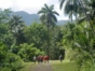 Alejandro de Humbolt National Park, Baracoa, Cuba
