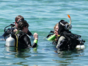 Diving courses in different centers of the country