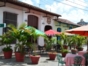 One day in Camaguey Tour