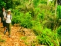 Turquino National Park  Granma