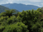 Turquino National Park  Granma
