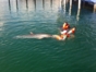 Swimming with dolphins at Bahía de Naranjo dolphinarium