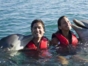 “Swimming with Dolphins in Cayo Santa María“ Tour