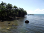 “Tracking The Pirates, A Trek Through Mangroves” Tour