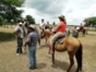 Rancho King Touristic Farm