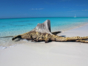 Cayo Rico beach, Cayo Largo del Sur.