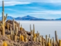 Incahuasi Island. Salt Flat Uyuni.