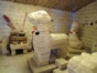 Llamas and Salt Museum.