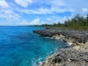 “Ride to Playa Larga and Playa Girón in Old Fashion American Classic Cars” Tour