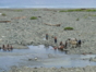 Panoramic view  ¨From the Caribbean to La Sierra¨tour
