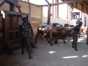 Sugar Agroindustry Museum-Remedios-Santa Clara-Cuba