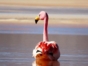 Flamencos,in Chaxa Lagoon, Antofagasta region, Chile