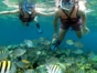 "Snorkeling from Marea del Portillo" Tour