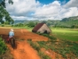 Crop-Vinales-cuba