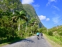 Vinales road-cyclists-cuba