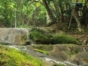 “Ride to Soroa & Las Terrazas in Old Fashion American Classic Cars” Tour