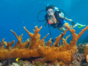 "Diving in in Covarrubias" Tour