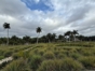 "HAVANA - NATURE + KAYAK" Tour