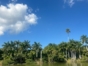 "HAVANA - NATURE + KAYAK" Tour