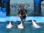Bahía de Naranjo dolphinarium, Holguín