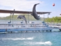 Bahía de Naranjo dolphinarium, Holguín