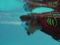Snorkeling tour at Punta Perdíz beach, Playa Girón. “Guamá Special“ Tour