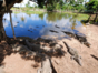 The crocodile breeding farm, Guamá Tourist Park, Peninsula de Zapata.