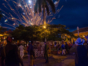 Remedios's Night in Classic Cars Tour