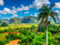 "Las Terrazas - Viñales Valley" Private Tour -Viñales Valley