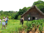 "Las Terrazas - Viñales Valley" Private Tour in American Classic Cars