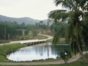 Las Terrazas Community panoramic view