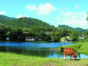 Las Terrazas Community panoramic view