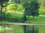 “Ride to Las Terrazas and Viñales in Old Fashion American Classic Cars” Tour-