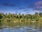 Toa River, Baracoa