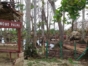 Rancho Palma , “Jeep Tour” from Jardines del Rey
