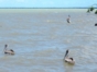 La Redonda lagoon boat ride