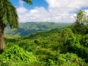 Topes de Collantes National Park-Cuba