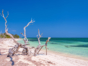 Cayo Levisa beach panoramic view, Pinar del Río