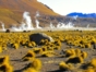 Geysers del Tatio, Antofagasta region, Chile.