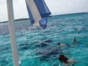 Snorkeling at the coral reef