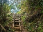 Comandancia la Plata, Sierra Maestra National Park, Cuba