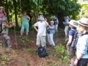 “EL YUNQUE” Hiking Tour