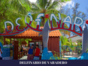 Dolphin Experience in Varadero