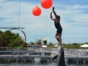 Dolphin Experience in Varadero